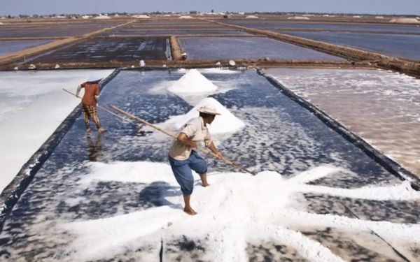 Người dân Bạc Liêu đã có lịch sử sản xuất muối trên cánh đồng muối này hơn 100 năm